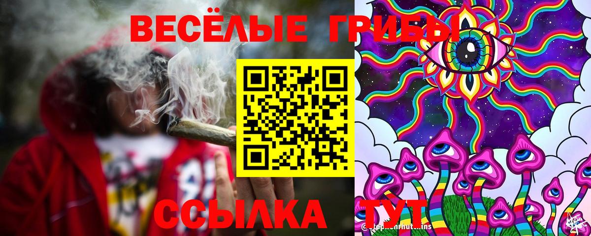 Псилоцибиновые грибы ЛСД  Псилоцибиновые грибы GOLDEN TEACHER  Комсомольск-на-Амуре  Вход с VPN 